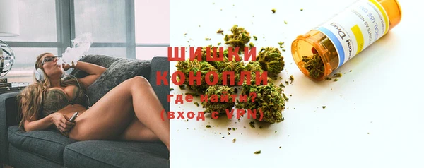 хмурый Белокуриха