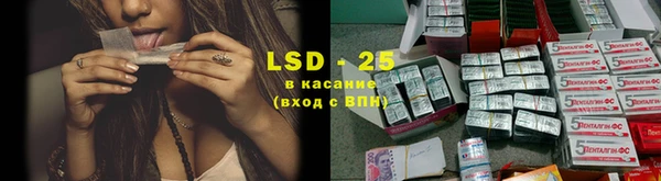хмурый Белокуриха