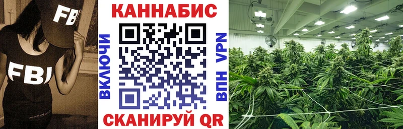 Шишки марихуана план  Болохово 